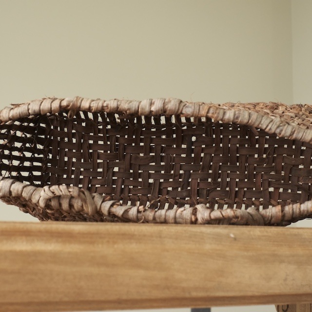 ����ƺ��