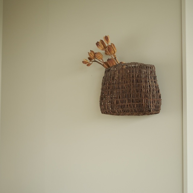 ����ƺ��