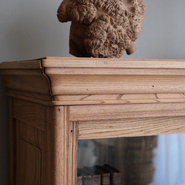 ����ӥͥå�