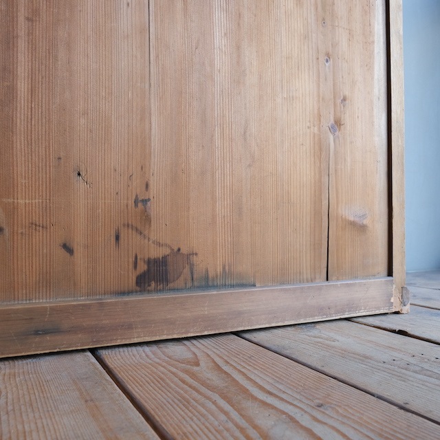 ����ӥͥå�