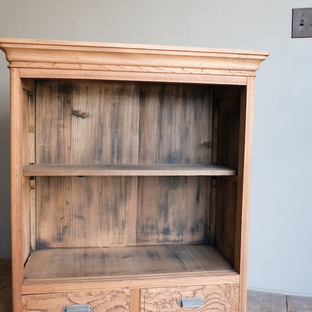 ����ӥͥå�