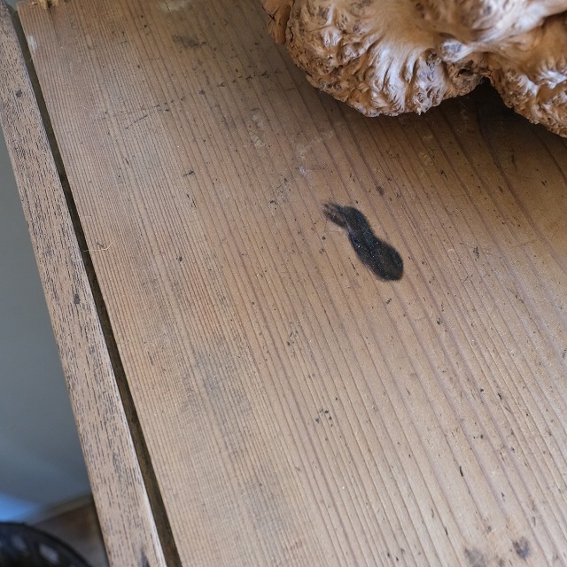 ����ӥͥå�