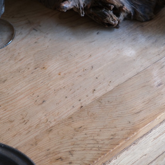 �����Ф��դ���Ÿ���桡