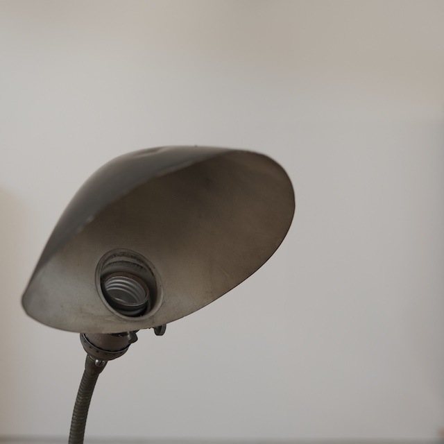 �ǥ����饤�ȡ�˹�ҤΤ褦�ʥ�������