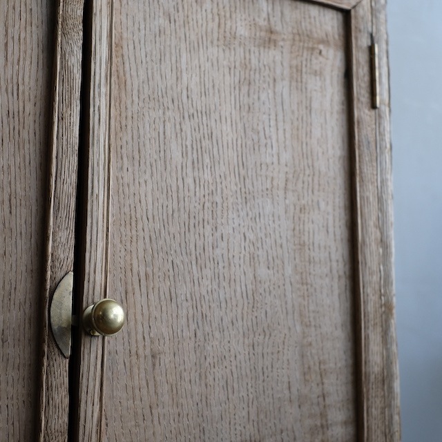 ����ӥͥåȡ������