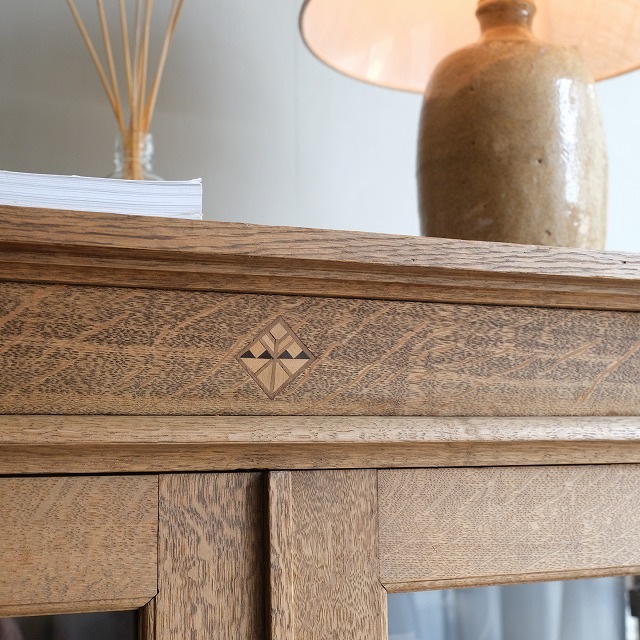 ����ӥͥå�