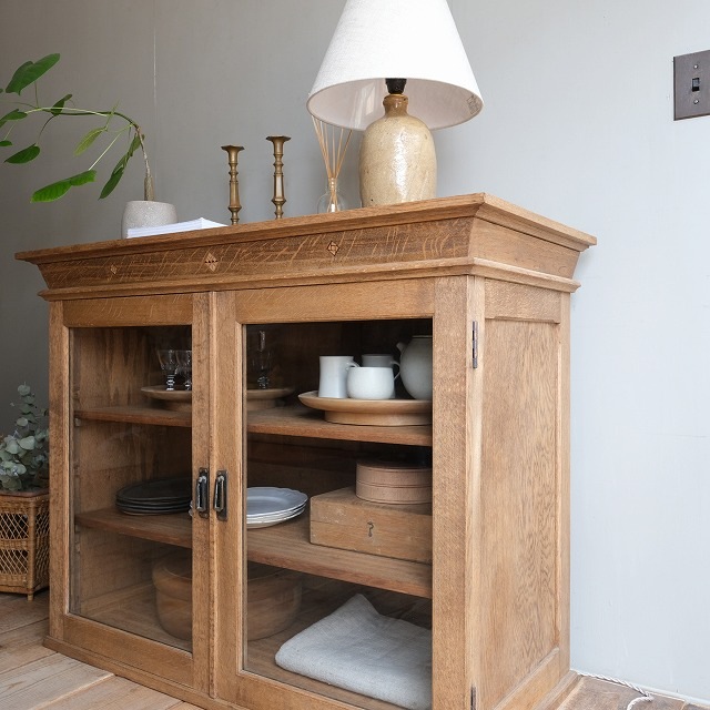 ����ӥͥå�