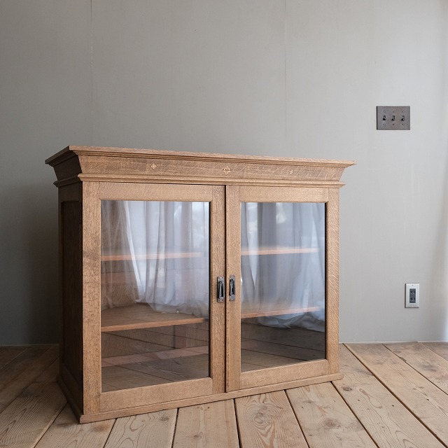 ����ӥͥå�