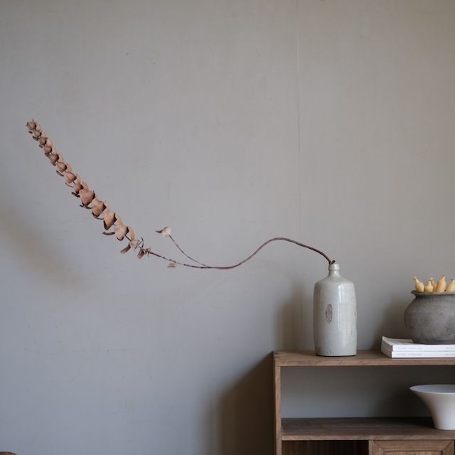 ������.f