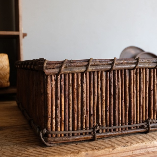 �����ơ�̱��