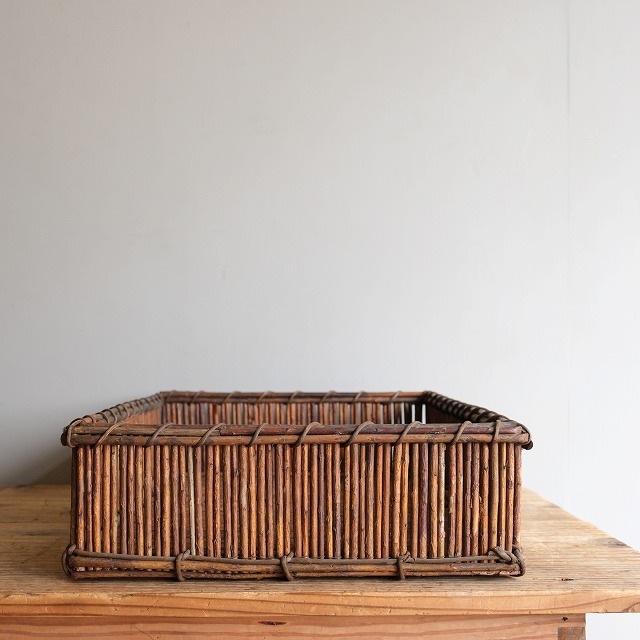 �����ơ�̱��