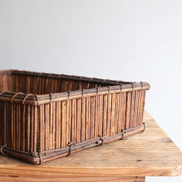 �����ơ�̱��