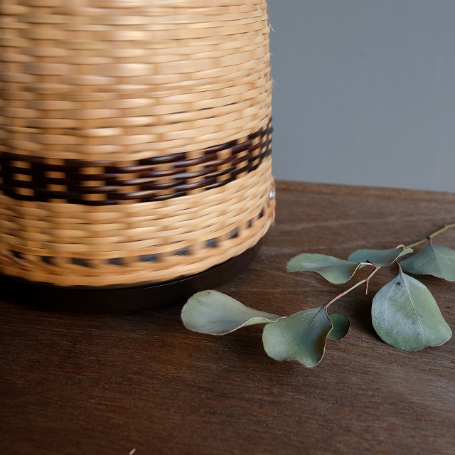 �ۤ���ˡ�ӡ��ݥå�