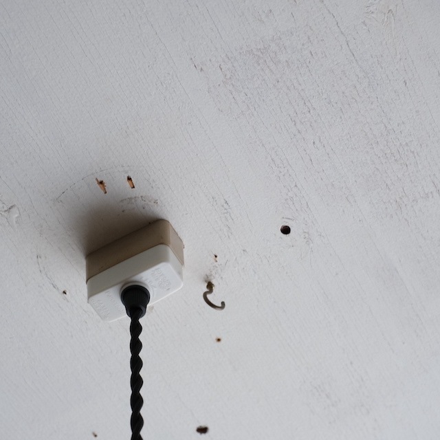 Ƽϳ�ͤΥڥ����ȥ饤�ȡ�