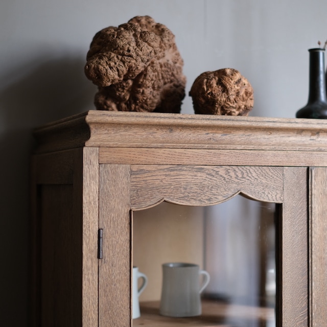 ����ӥͥå�