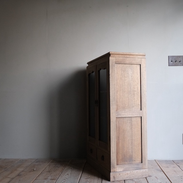 ����ӥͥå�