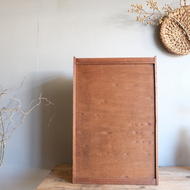 ����ӥͥå� (��Ʃ�����ˡ����