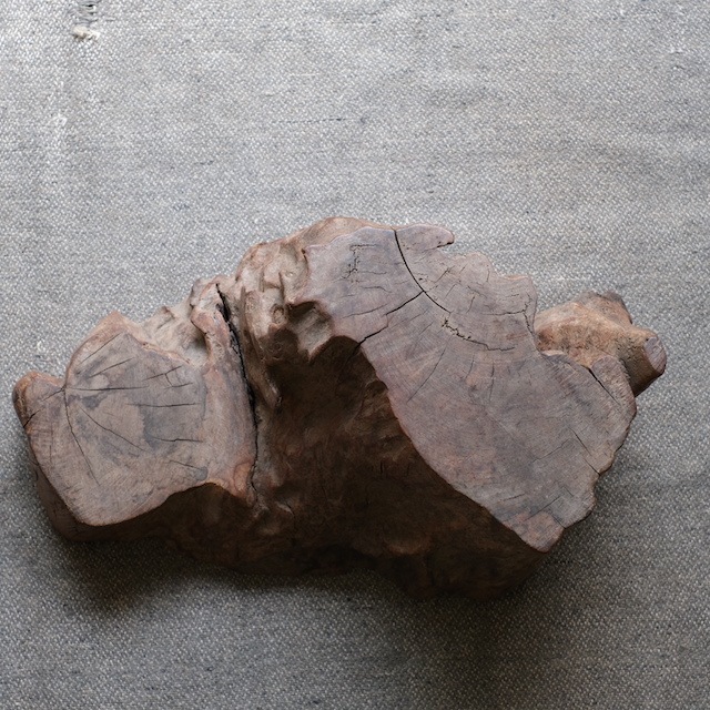 �����Τޤޤ�Ÿ����