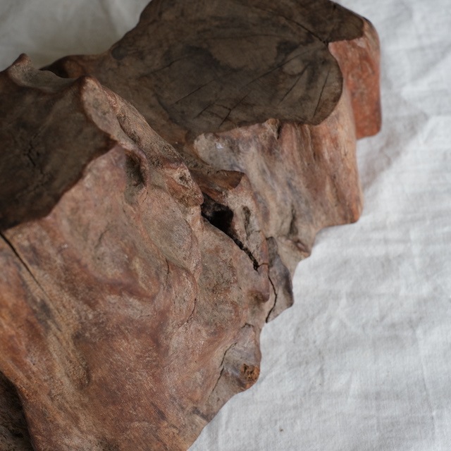 �����Τޤޤ�Ÿ����