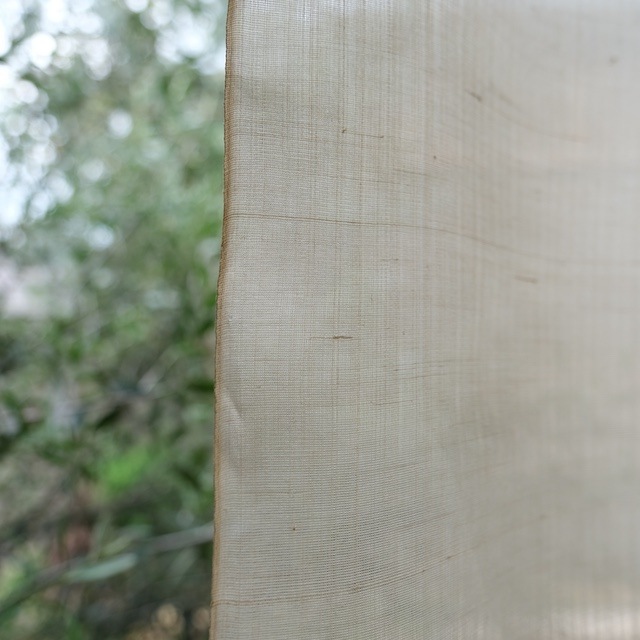 ��θ��ۡ������ꡡ����36cm��