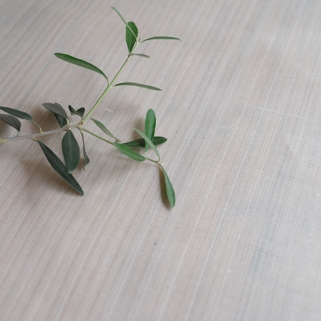 ��θ��ۡ������ꡡ����36cm��