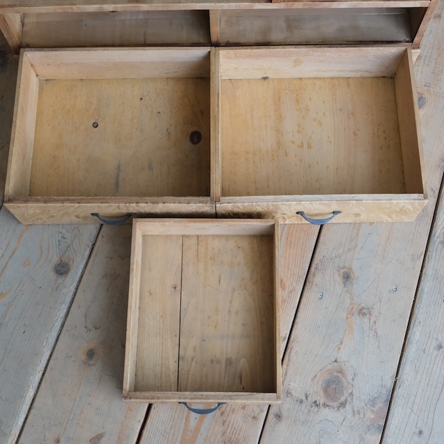 �������ȥ꡼����ӥͥå�