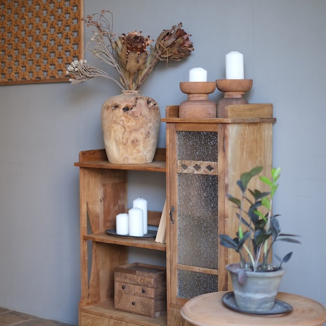 �������ȥ꡼����ӥͥå�