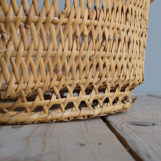 �������ơ�