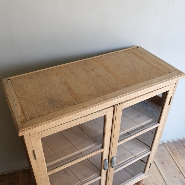 ����ӥͥåȡ�R-select ��ǥ�����ץ������ȡ�