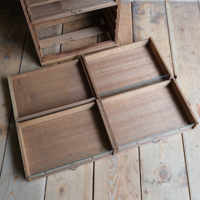 �����Ф����硼���������奱����