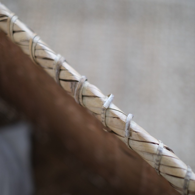 �礭������