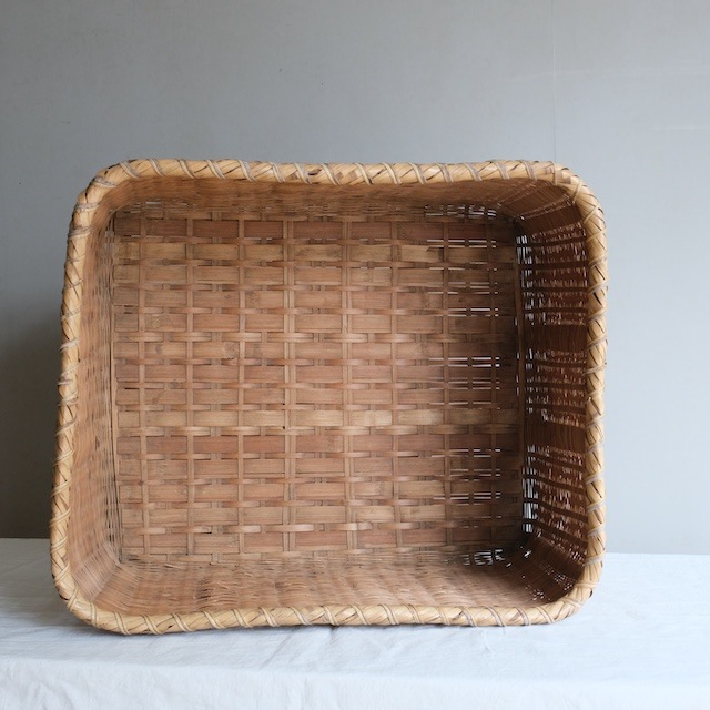 �礭������