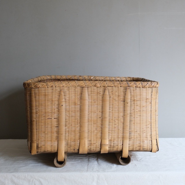 �礭������