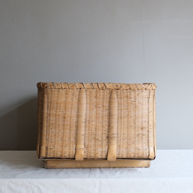 �礭������