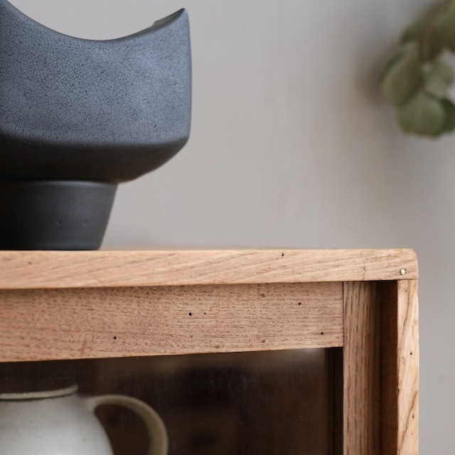 ����ӥͥå�