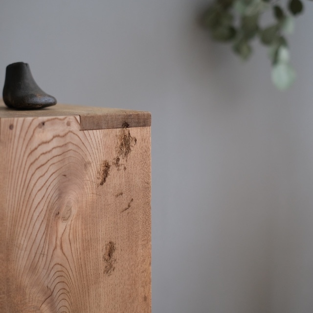 ����ӥͥå�