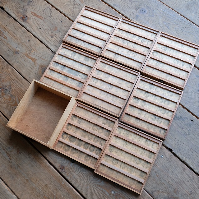 ���ڤ�Τ��롡�����ʰ����Ф�