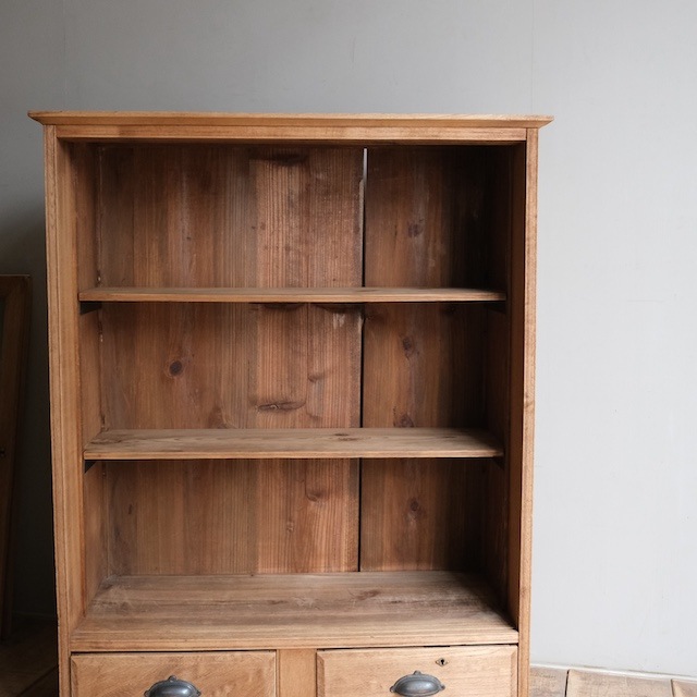 ����ӥͥå�