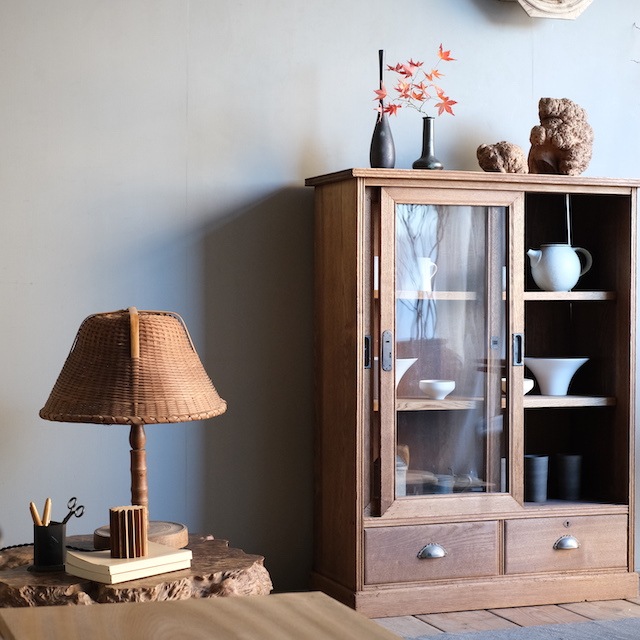 ����ӥͥå�