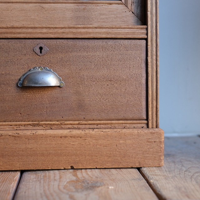 ����ӥͥå�