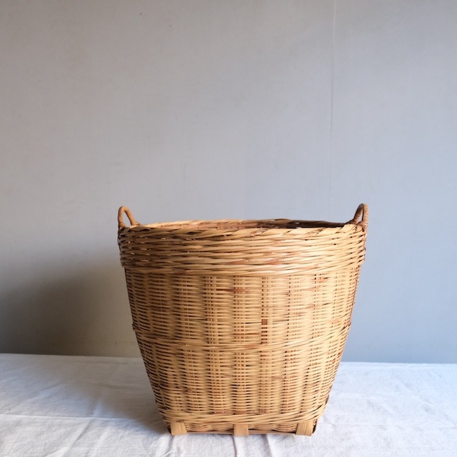 �������դ������ơ�