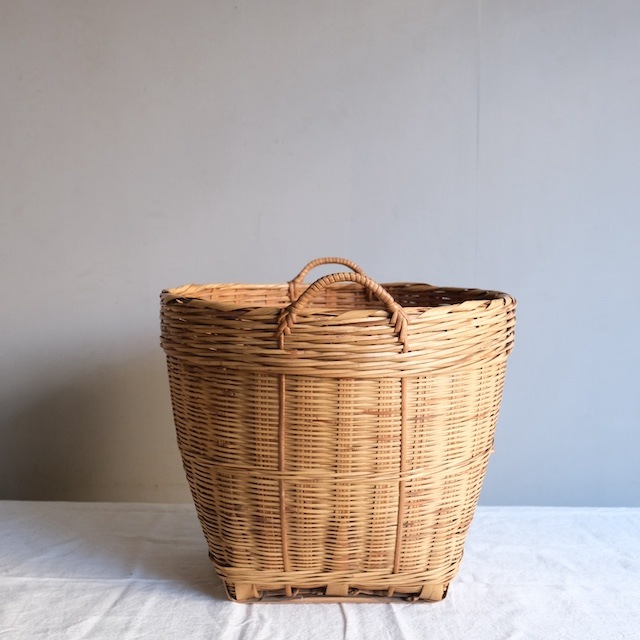 �������դ������ơ�