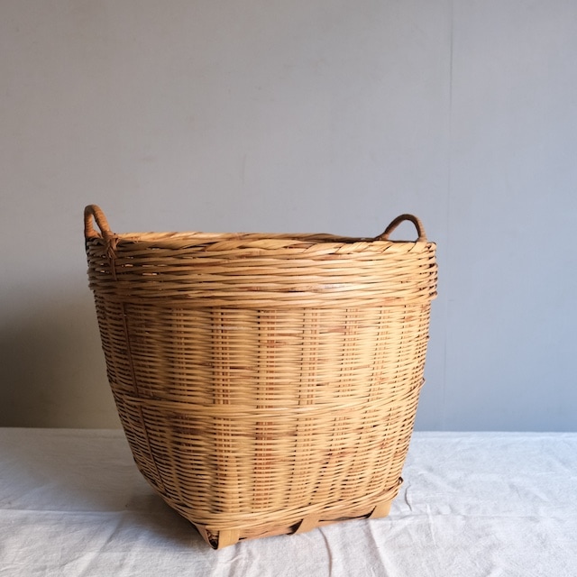 �������դ������ơ�