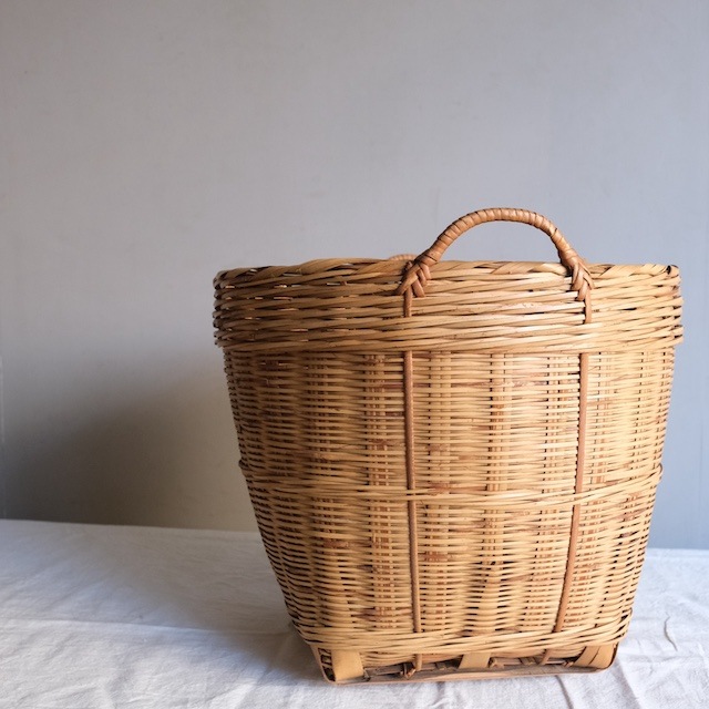 �������դ������ơ�