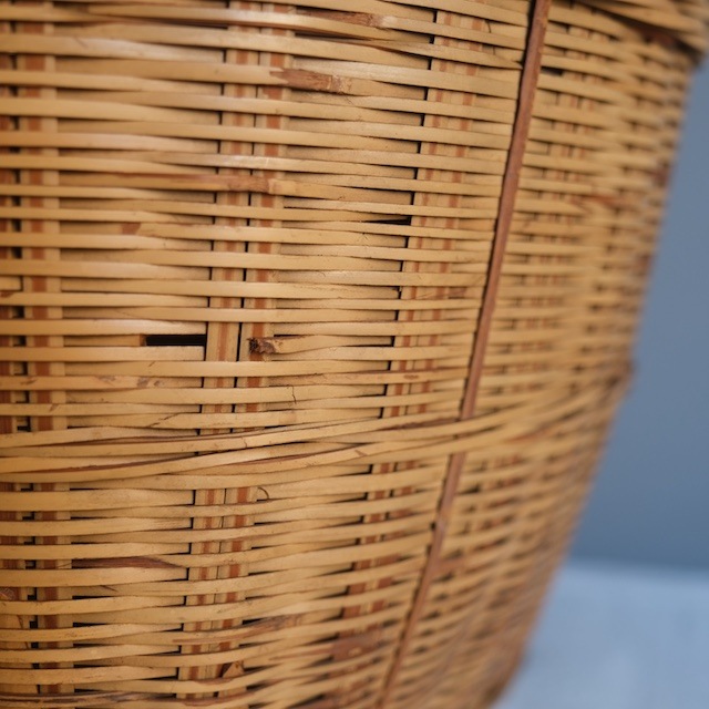 �������դ������ơ�