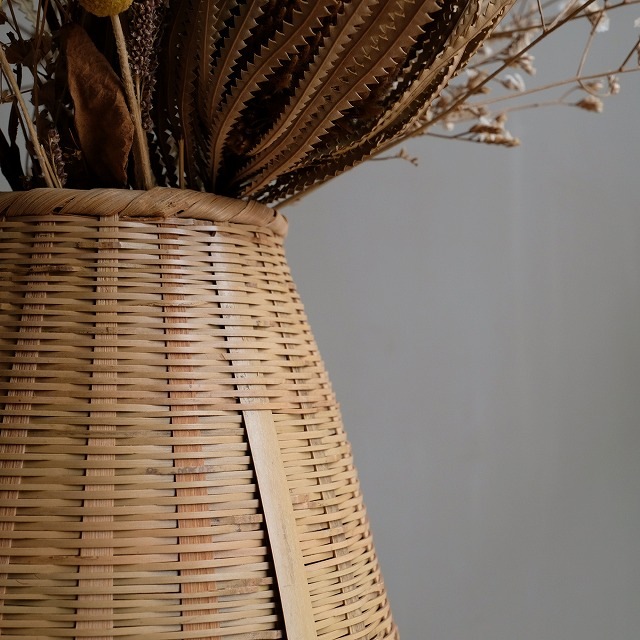 �����������ơ�