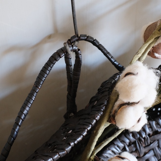 ����ƺ�ơ������