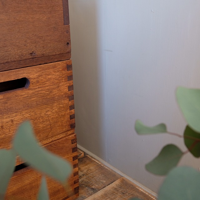 �����å�����Ȣ