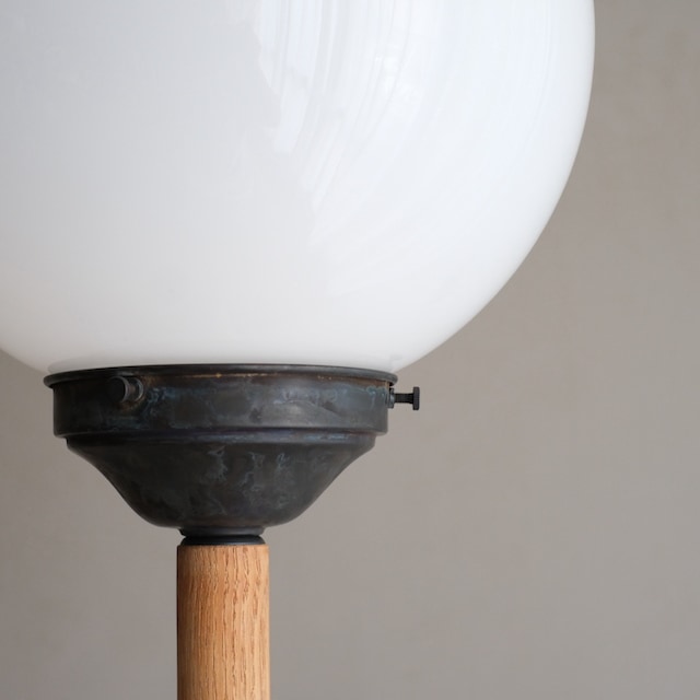 �ե����饤�ȡ�R-select ��ǥ�����ץ������ȡ�