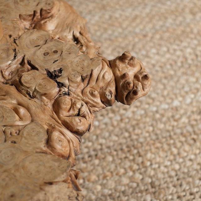 ݤΥơ֥R-select ǥץȡ